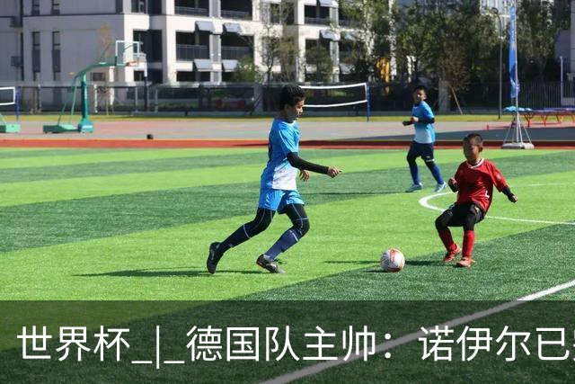 世界杯 | 德国队主帅：诺伊尔已完全康复
